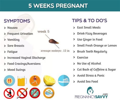 5 Weeks 2 Days Pregnant No Morning Sickness Pregnantsc