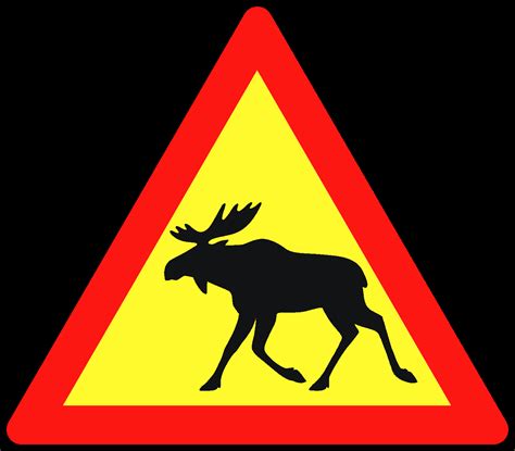 Seeking Moose