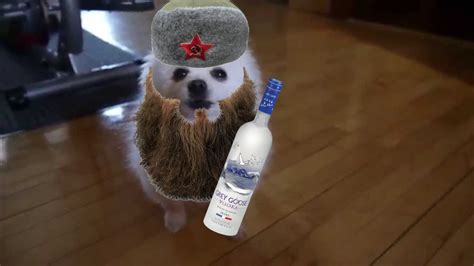 Russian Borks Youtube