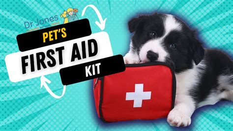 First Aid Kit For Pets What To Include Youtube