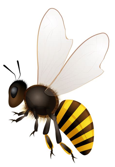 Moving clipart bumble bee, Moving bumble bee Transparent ...