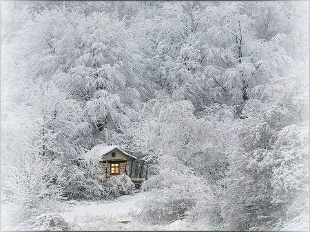 Lost in winter - Desktop Nexus Wallpapers | Winter scenery, Winter ...