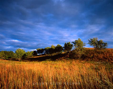 Prairie Grasses On Swell Trempealeau National Wildlife Refuge