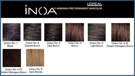 Discover More Than Loreal Inoa Hair Color Best In Eteachers