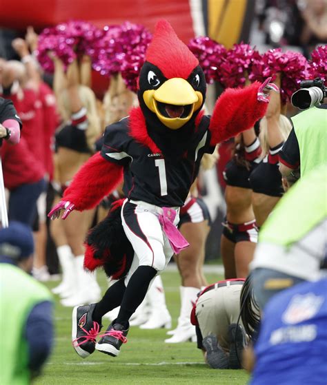 Browse arizona cardinals jerseys, shirts and cardinals clothing. NFL goes pink to support National Breast Cancer Awareness ...