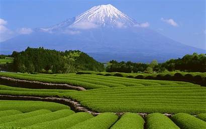 Fuji Sawah Landscape Gunung Pemandangan Mountain Nature