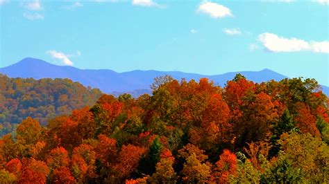 Free Download Fall Colors North Carolina Mountains Wallpaper 2100x1503