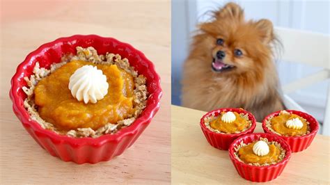 How To Make Pumpkin Pie For Dogs Recipe Paddingtons Pantry Youtube