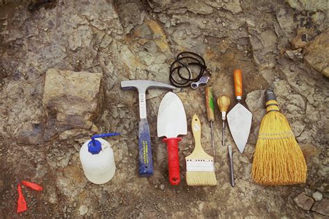 Tools Used To Excavate Dinosaur Fossils Stock Image E4050031 Science Photo Library