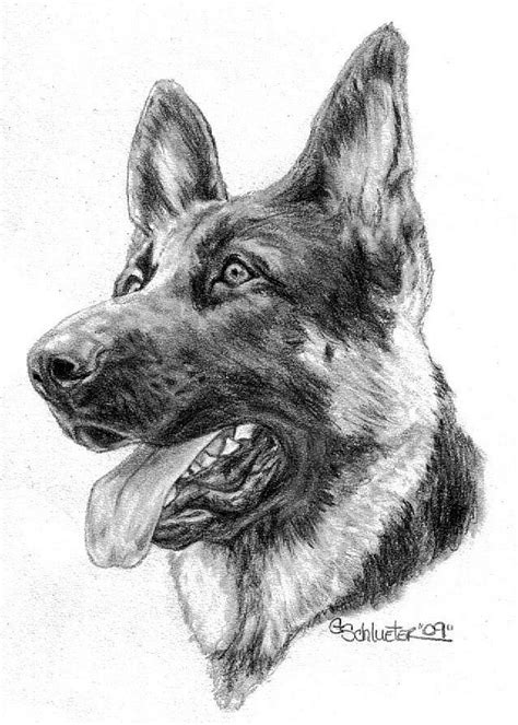 How To Draw A German Shepherd Dog Step By Step Alter Playground