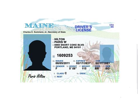 Maine Driver License Psd Template Psd Templates Drivers License