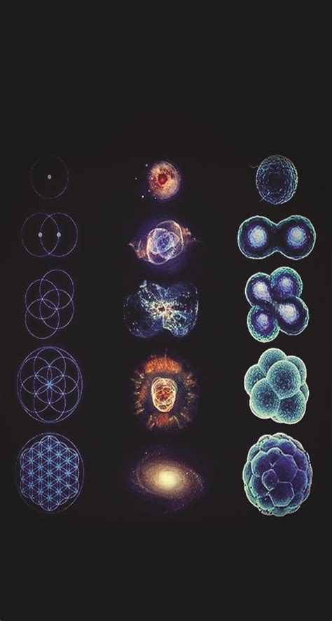 Geometria Sagrada Matemática Universo Física Ciência Biologia