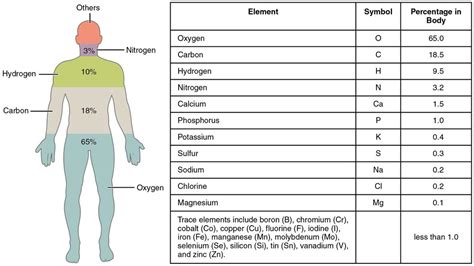 Oxygen Physiopedia