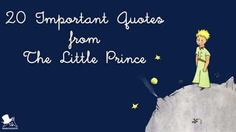 Get all new collection of the little prince quotes. 20 Important Quotes from The Little Prince - MagicalQuote
