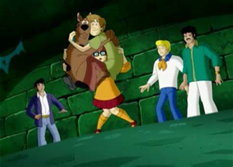 Velma Holding Shaggy And Scooby Scooby Doo Photo 32575505 Fanpop