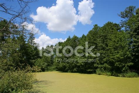 Landscapes Stock Photo Royalty Free Freeimages