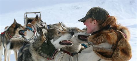 Alaska Dog Sledding Adventure With Arctic Wild In The Alaska Range