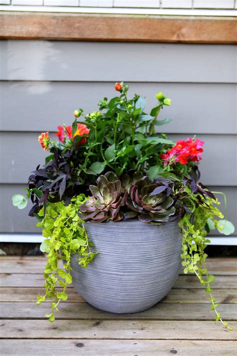 3 Steps For Stunning Container Gardening Lowes Canada