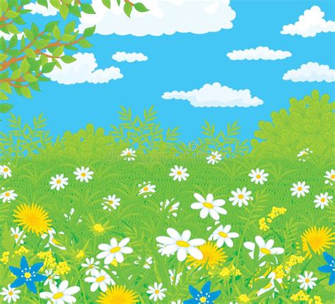 Field With Flowers Stock Vector Illustration Of Clip 24281065
