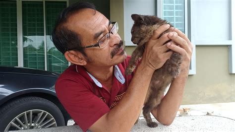 Mereka boleh membantu pada haiwan hamil atau mereka yang terlalu muda untuk mendapatkan ubat oral, untuk membatasi. Kucing Kurap Scabies dan rawatan | PSHerbs Penyakit