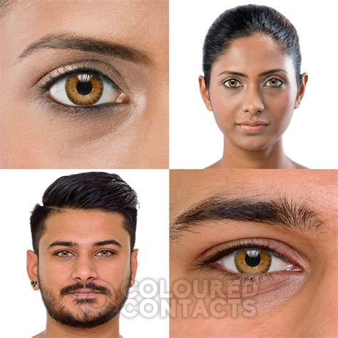 Freshlook Colorblends Honey Brown Prescription Contacts Monthly