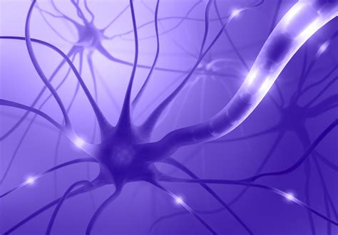 Neuron Wallpapers Artistic Hq Neuron Pictures 4k Wallpapers 2019