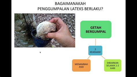 Struktur atom karbon karbon terletak di dalam kumpulan 14 jadual berkala. Sebatian karbon - GETAH Kimia SPM - YouTube