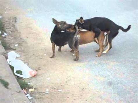 A tensão erótica entre os dois vai crescendo com as provocações da lolita. Mulher Fudendo Com Dois - mulheres-boas-super-gostosas-na ...