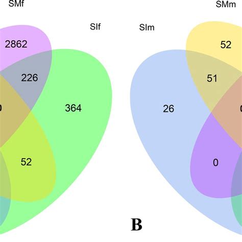 Venn Diagram Showing Overlaps Between The Sets Of Sex Biased Genes