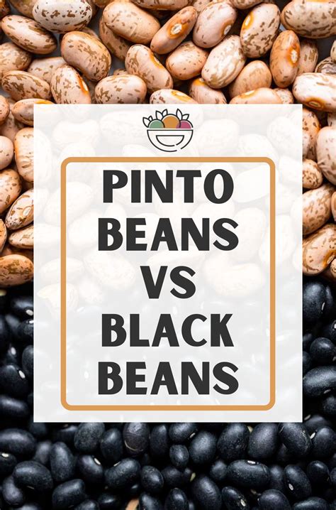 Pinto Vs Black Beans Nutrition Cooking And Storage Dietitian