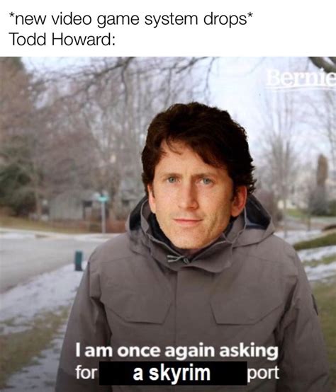 Planning To Share A Memorable Meme With A Buddy These Todd Howard Puns