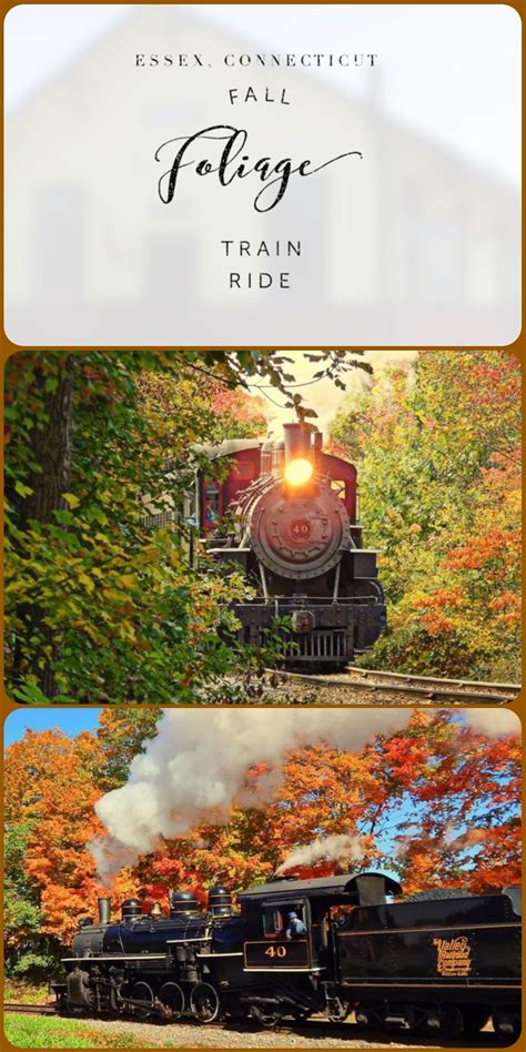 Take This Fall Foliage Train Ride Through Connecticut For A One Of A