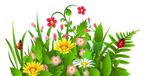 Cute Grass And Flowers Png Clipart