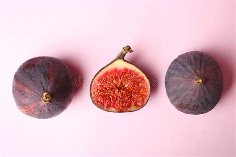 Fresh Fig Fruit Stock Image Image Of Concept Subtropical 129519199