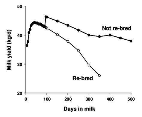 Milk Yields Of Holstein Heifers Over 500 Days Of Lactation Comparison