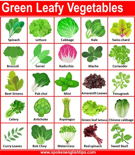 50 Green Leafy Vegetables Names In English With Pictures