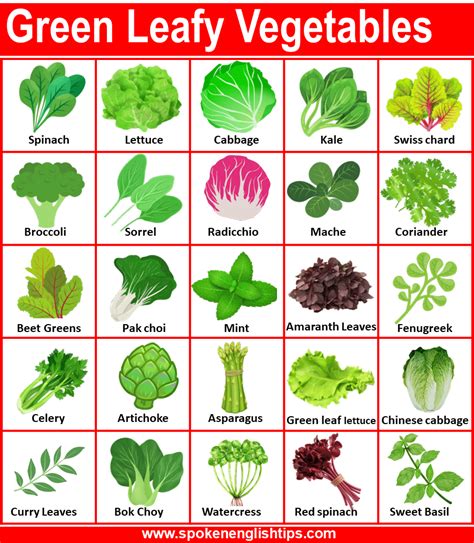 Types Of Green Leafy Vegetables