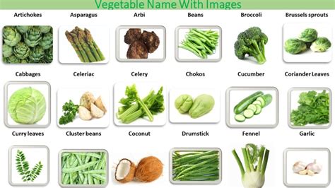50 List Of Vegetable Names A Z With Picture