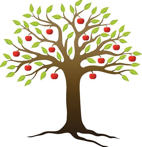 Best Apple Trees Illustrations Royalty Free Vector