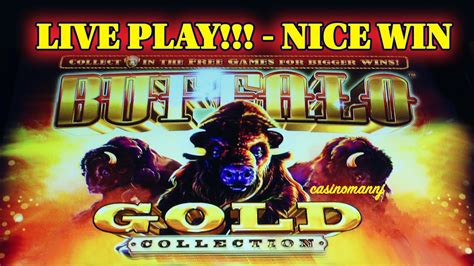 Buffalo Gold Slot Live Play Plus 2 Bonus Features Nice Win