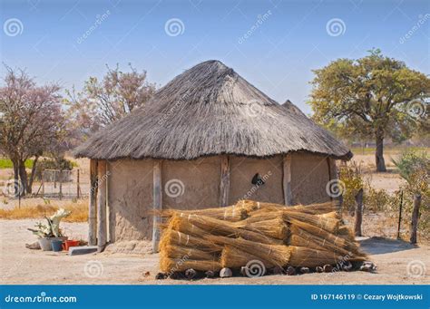Typical Thatched Roof African Round Hut In Botswana Stock Image Image