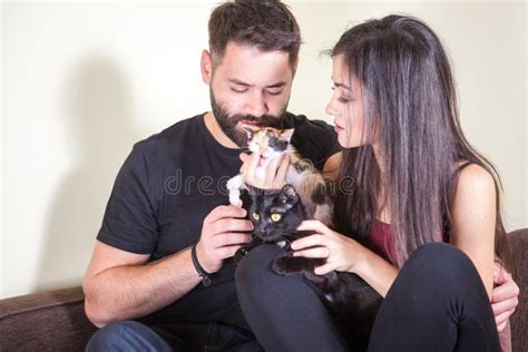 Gorgeous Beautiful Young Couple Holding Cats In Hands Stock Photo