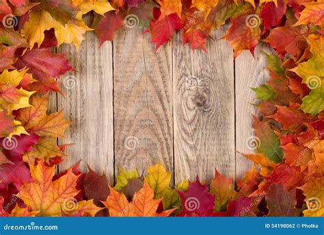 Fall Leaves Frame Stock Photo Image Of Nature Plank 34198062