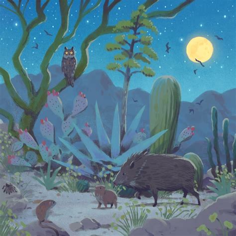 Sonoran Desert Night An Art Print By Matt Rockefeller Inprnt