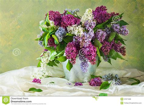 Still Life Bouquet Lilacs Stock Photo Image Of Composition 51871006