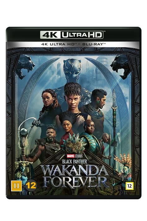 Black Panther Wakanda Forever 4k Uhd