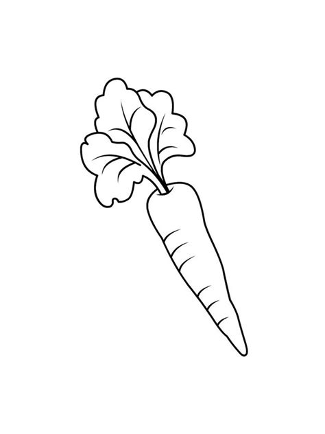 150 Desenhos De Verduras Para Imprimir E Colorirpintar Porn Sex Picture