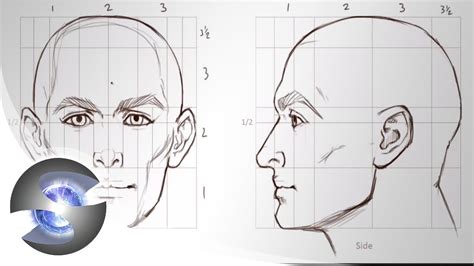 How To Draw Proportions Of The Adult Male Head Youtube