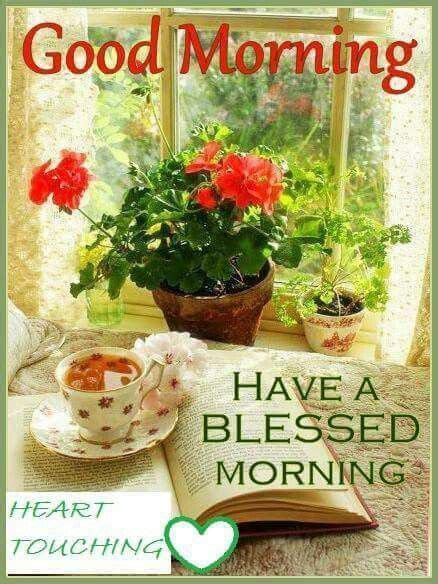 Good Morning Have A Blessed Morning Pictures Photos And Images For
