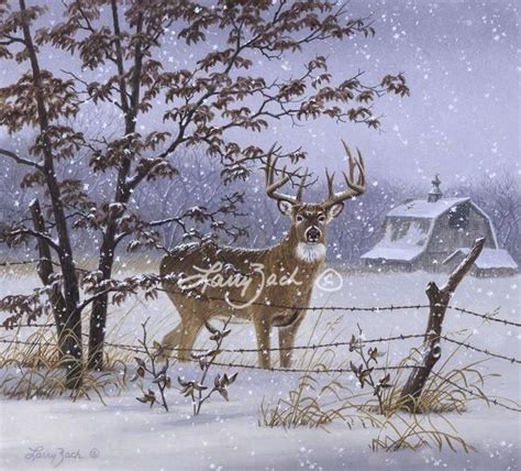 wildlife art by renowned iowa artist larry zach featuring farm scenes whitetail deer